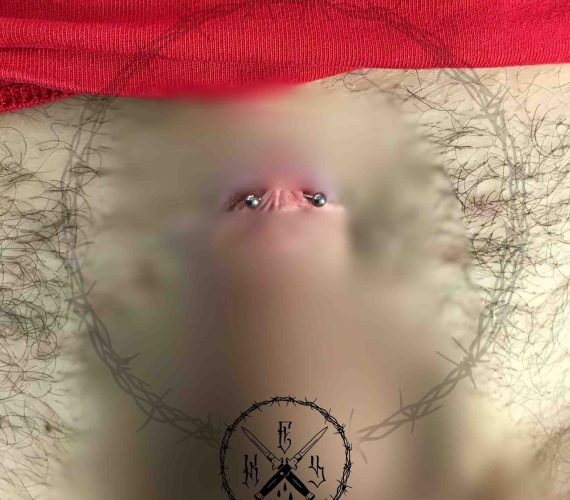 Piercing Pene Dettaglio - Soul Skin Ink Tatuaggi Piercing Trucco Permanente Parabiago